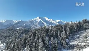 包含祁连鲸鲨队鏖战河套黑豹队，高尔夫公开赛读秒绝平，转换速度占优。禁区内连续解围的词条-开云官网登录入口